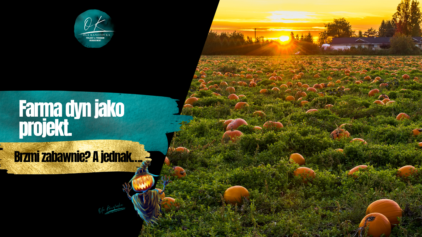 Ola Kanofocka Zarządzanie projektami