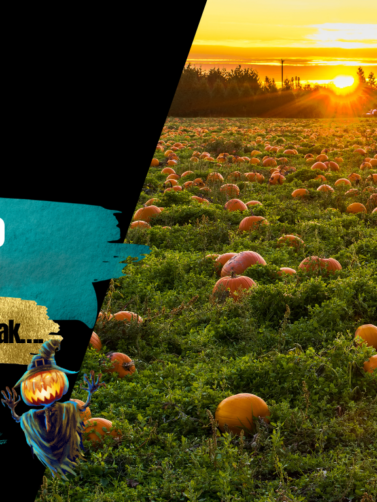 Ola Kanofocka Zarządzanie projektami